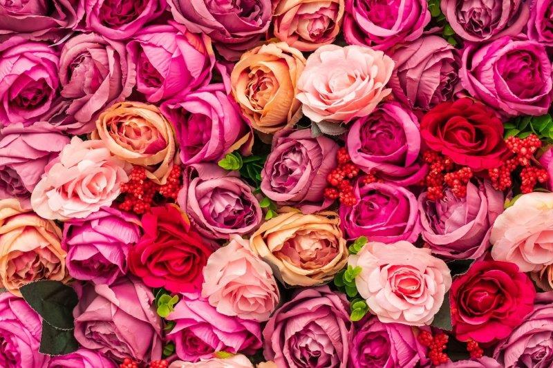 Mein Mai 2023: Wertschätzung und gute Gewohnheiten- bunte Rosenblüten