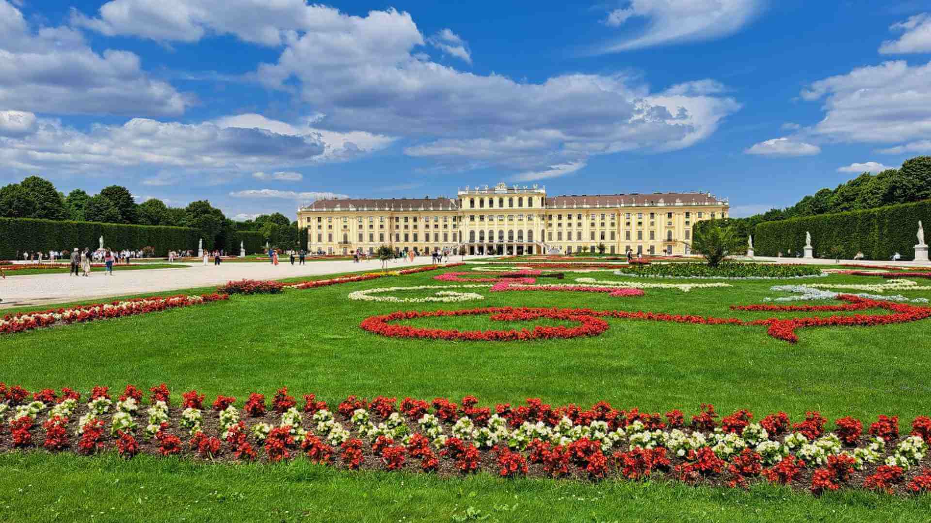 Mein Juni 2023: Wien ist anders - Schloss Schönbrunn im Juni mit Rasenfläche und rot-weiß-roter Blumenbefplanzung